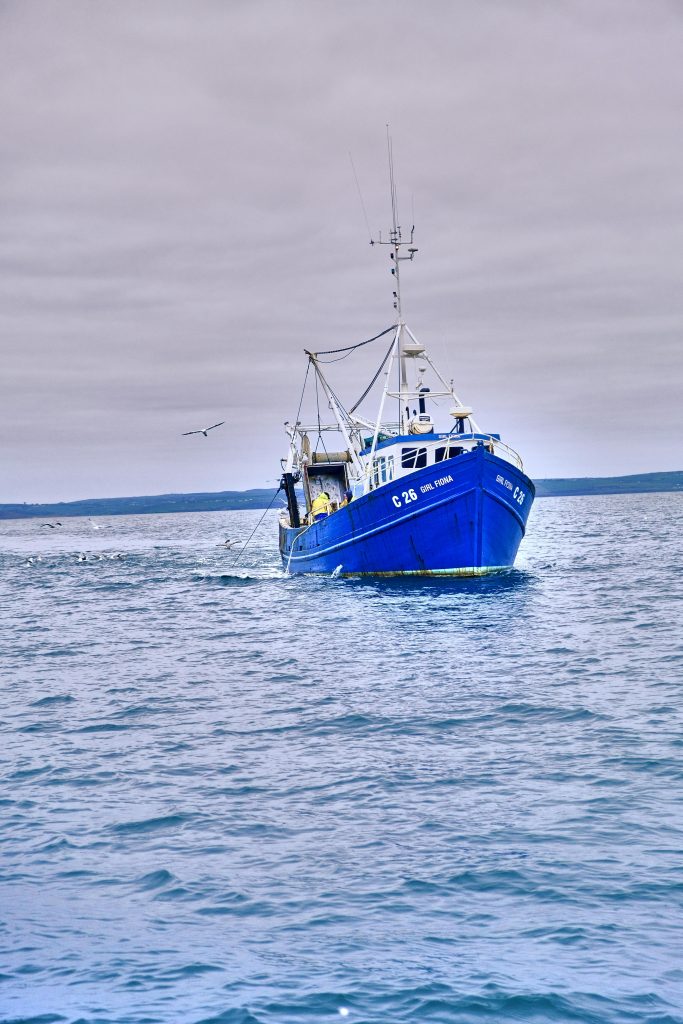 A blue fishing boat sails across the calm sea.